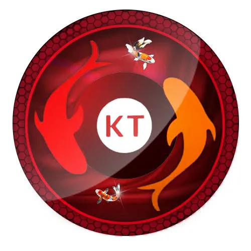 koitoto APK MMORPG